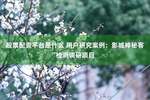股票配资平台是什么 用户研究案例：影城神秘客检测调研项目