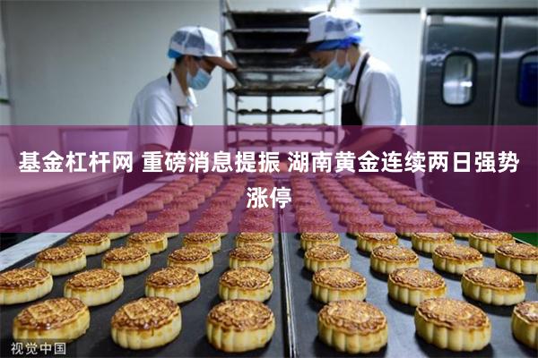 基金杠杆网 重磅消息提振 湖南黄金连续两日强势涨停