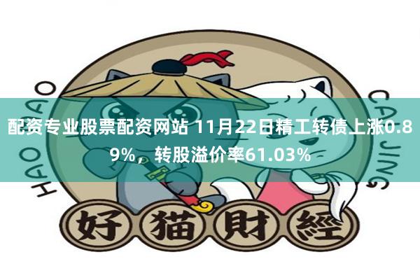 配资专业股票配资网站 11月22日精工转债上涨0.89%，转股溢价率61.03%