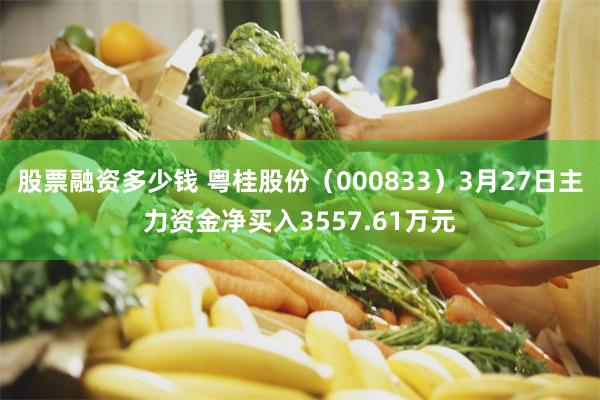 股票融资多少钱 粤桂股份（000833）3月27日主力资金净买入3557.61万元