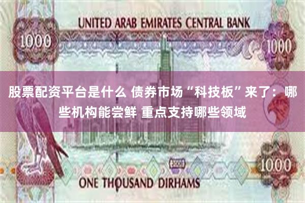 股票配资平台是什么 债券市场“科技板”来了：哪些机构能尝鲜 重点支持哪些领域