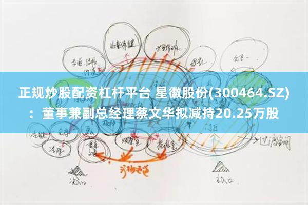 正规炒股配资杠杆平台 星徽股份(300464.SZ)：董事兼副总经理蔡文华拟减持20.25万股