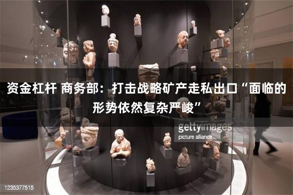 资金杠杆 商务部：打击战略矿产走私出口“面临的形势依然复杂严峻”
