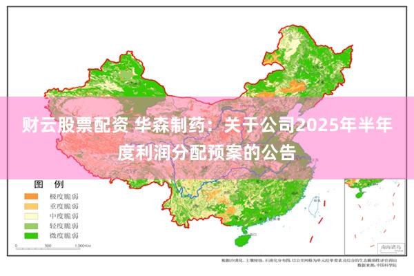 财云股票配资 华森制药：关于公司2025年半年度利润分配预案的公告