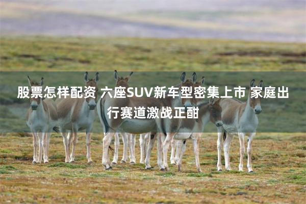 股票怎样配资 六座SUV新车型密集上市 家庭出行赛道激战正酣