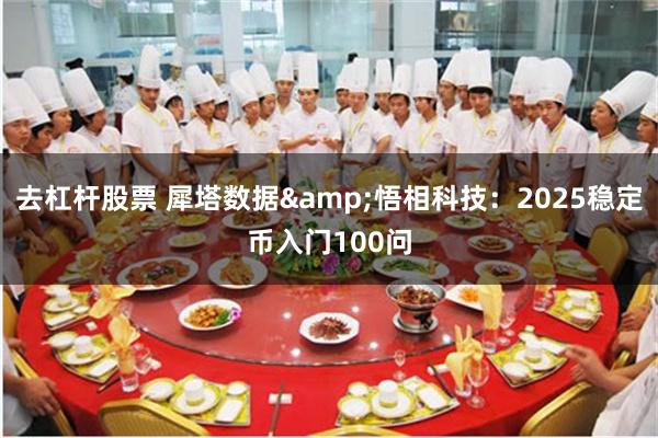去杠杆股票 犀塔数据&悟相科技：2025稳定币入门100问