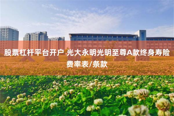 股票杠杆平台开户 光大永明光明至尊A款终身寿险费率表/条款