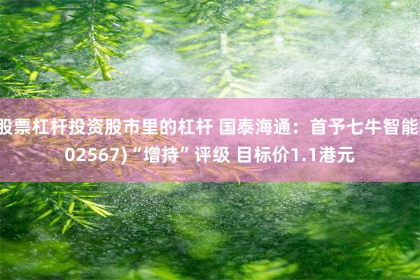 股票杠杆投资股市里的杠杆 国泰海通：首予七牛智能(02567)“增持”评级 目标价1.1港元