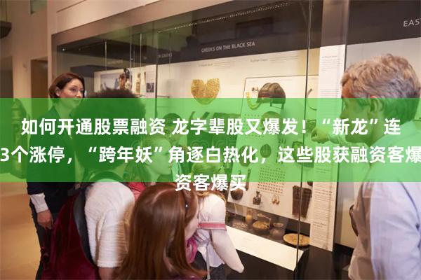 如何开通股票融资 龙字辈股又爆发!“新龙”连获3个涨停,“跨年妖”角逐白热化,这些股获融资客爆买