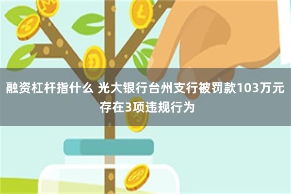融资杠杆指什么 光大银行台州支行被罚款103万元 存在3项违规行为